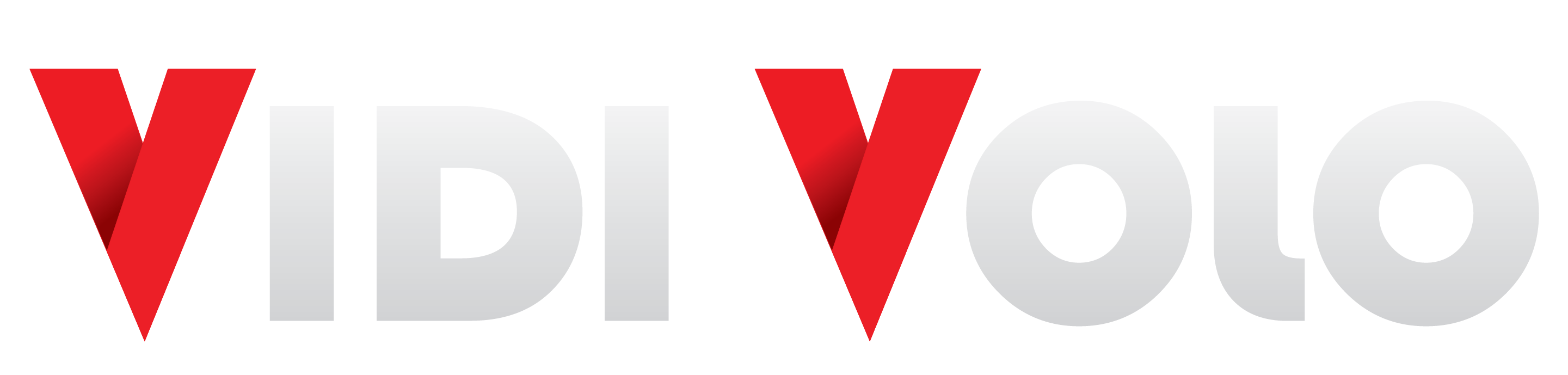 VidiVolo Logo white-03
