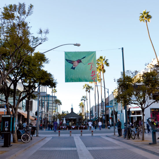 PROMENADE HUMMINGBIRD BANNER